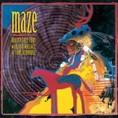 Robert Tree With Rob Wallace & Tony Redhouse - Maze (CD)