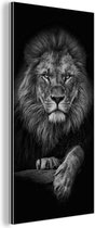 Décoration murale Métal - Aluminium Peinture Industrielle - Lion - Animaux - Zwart - Wit - 80x160 cm - Dibond - Photo sur aluminium - Décoration murale industrielle - Pour le salon / chambre