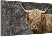 Wanddecoratie Metaal - Aluminium Schilderij Industrieel - Schotse hooglander - Wereldkaart - Dieren - 80x40 cm - Dibond - Foto op aluminium - Industriële muurdecoratie - Voor de woonkamer/slaapkamer