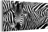 Wanddecoratie Metaal - Aluminium Schilderij Industrieel - Zebra zwart-wit fotoprint - 120x60 cm - Dibond - Foto op aluminium - Industriële muurdecoratie - Voor de woonkamer/slaapkamer