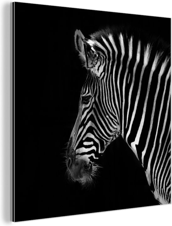 Wanddecoratie Metaal - Aluminium Schilderij Industrieel - Zebra - Wilde dieren - Zwart - 50x50 cm - Dibond - Foto op aluminium - Industriële muurdecoratie - Voor de woonkamer/slaapkamer