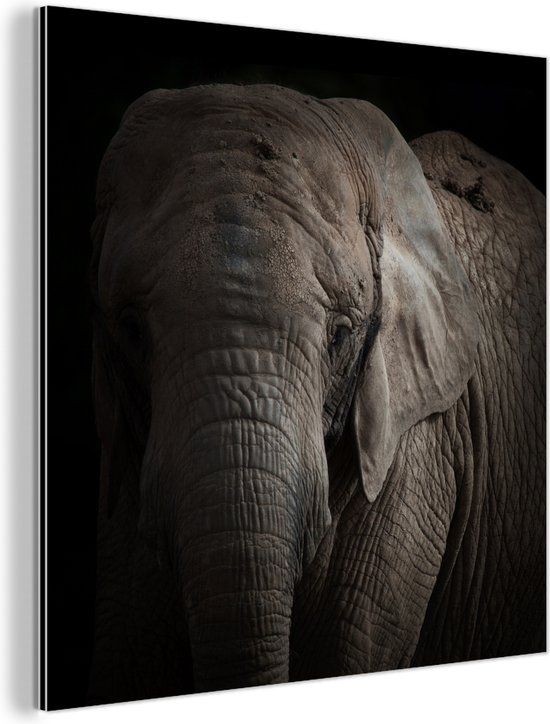 Wanddecoratie Metaal - Aluminium Schilderij -  een olifant op een donkere achttergrond