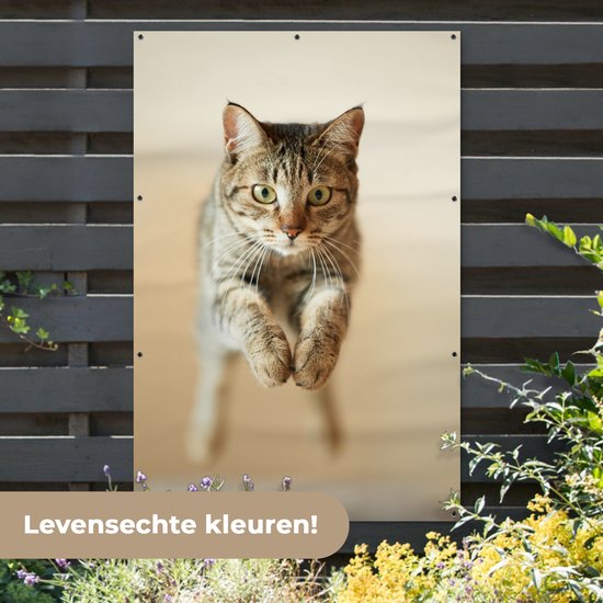 Décoration murale Chat sautant dans les airs - 120x180 cm - Affiche jardin