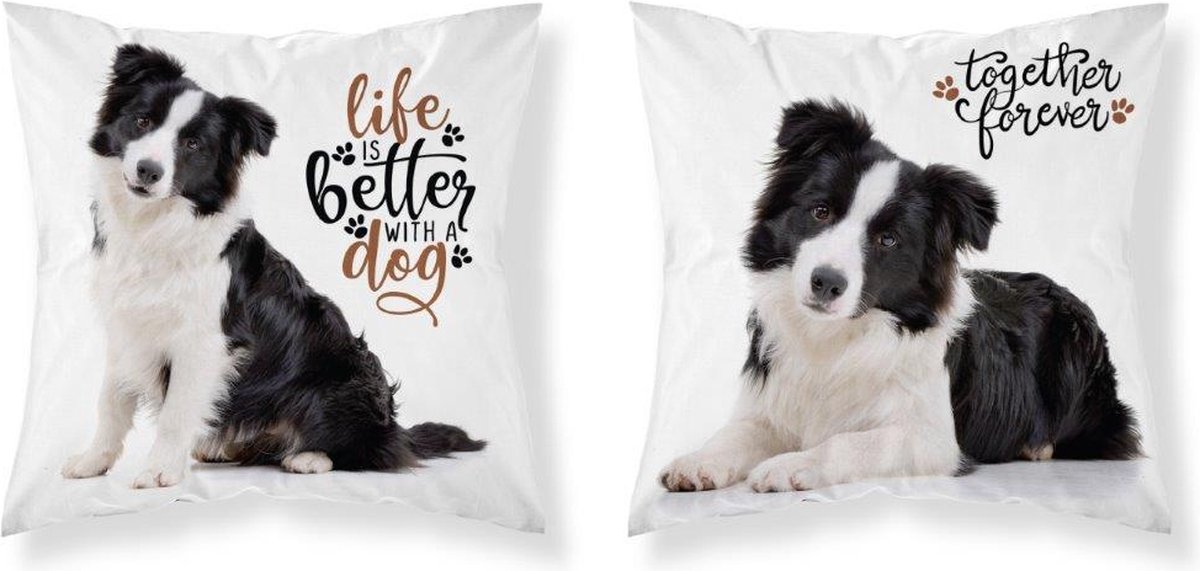 Bordercollie Hond Sierkussen kussen 40x40cm incl vulling