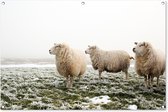 Tuinposter - Tuindoek - Tuinposters buiten - Schapen - Mist - Winter - 120x80 cm - Tuin