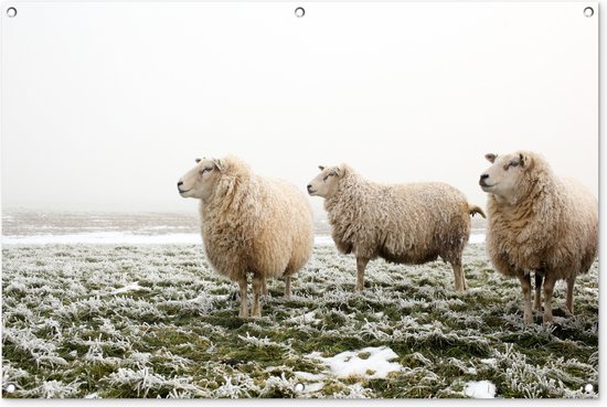 Gards Tuinposter Schapen in de Heuvels bij Zonsondergang - 120x160 cm