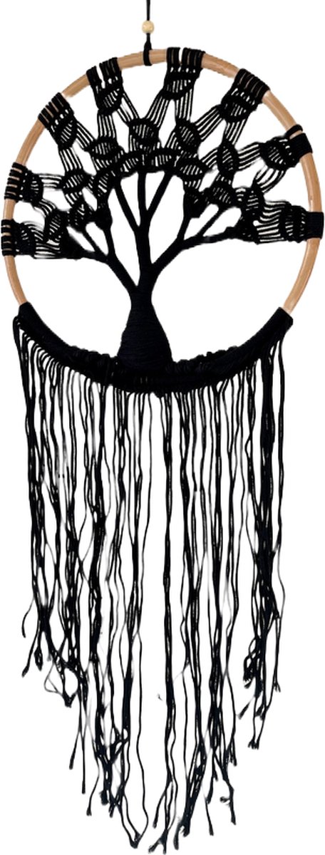 Joni's Dromenvanger levensboom diameter 40 cm zwart