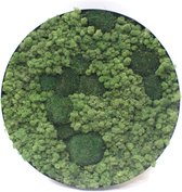 Decoratief
