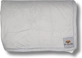 By Ollies - Hondendeken 100 cm x 70 cm - Lichtgrijs - Dierenkleed - Sherpa - Super zacht - Hondenkleed