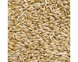 Vogelvoer- Kanarie- Witzaad- Kanariezaad- Platzaad- 2 kilo