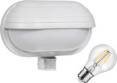 Maclean - Applique d'extérieur avec détecteur de mouvement + lampe LED 6W - max 60W, 180° - Wit