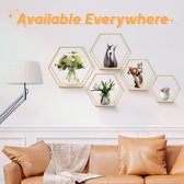 Hexagon Wandrek, metaal, set van 5 stuks, decoratief hangrek, loft wandrek, planken voor wanddecoratie in woonkamer, slaapkamer, badkamer, café en hotel