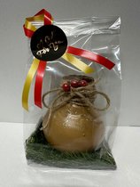Wax Amaryllis goud - gewaxte amaryllis - Hippeastrum in leuke geschenkverpakking - Relatiegeschenk