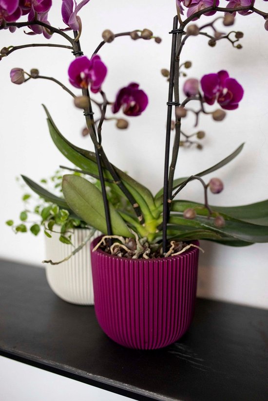 Capi Europe - Pot de fleurs boule Groove - 23x21 - Rose - Ø ouverture - Pot de fleurs pour intérieur - Garantie 5 ans - BGVPI134