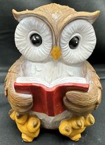 Decoratief polyresin dier met boek "zittende uil" - bruin - hoogte 15x9x9 cm - Voor binnen of buiten - Tuinaccessoires - Woonaccessoires - Decoratieve beeldjes