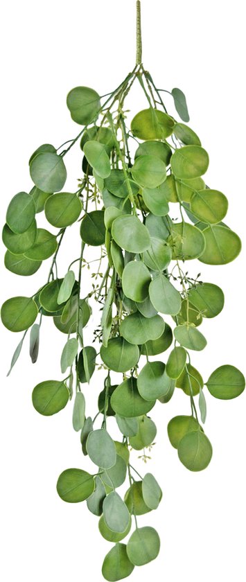 Foto: Greenmoods kunstplanten kunstplant hangplant eucalyptus 73 cm