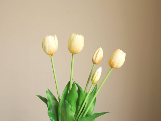 Foto: 
