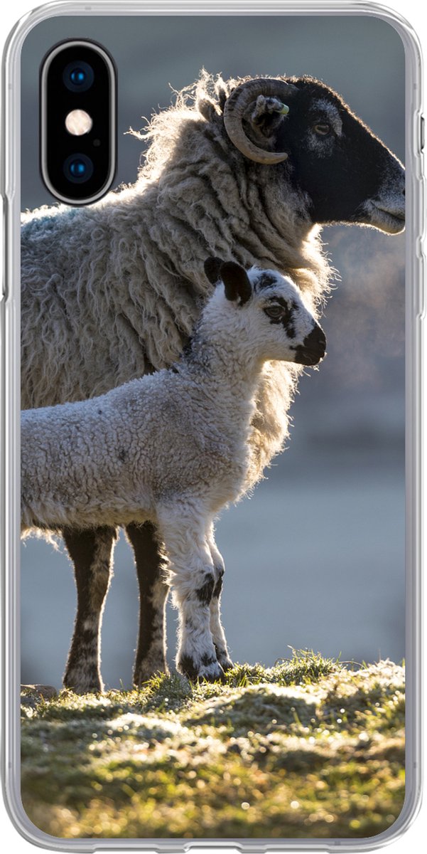 Telefoonhoesje Geschikt voor iPhone X hoesje - Schaap - Lam - Zon - Siliconen Telefoonhoesje Telefoonhoesje