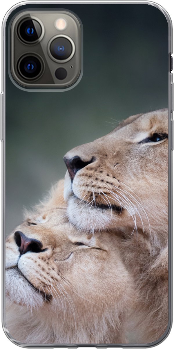 Telefoonhoesje Geschikt voor iPhone 12 Pro hoesje - Leeuw - Wilde dieren - Big Five - Siliconen Telefoonhoesje Telefoonhoesje