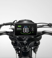 Display fatbike V20 - scherm fatbike V20 - LCD display fatbike V20 - fatbike - V20 - 2024 model