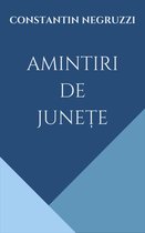 Literatura Românească - Amintiri de Junețe