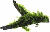 AQUAlook Driftwood met vesicularia dubyana (java mos) | Medium Waterplant