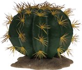 Terra Della - Reptielen - Echinocactus 1 16,5x15,5x14cm Groen - 162495