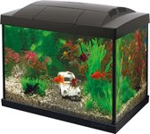 Kit SuperFish Start 20 GoldFish - Aquarium LED - Noir - 36 x 23 x 32,1 cm - 20 L.