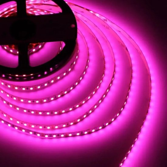 Bande LED 2835 120 LEDs/m Pink IP20 24V 18W 10mm