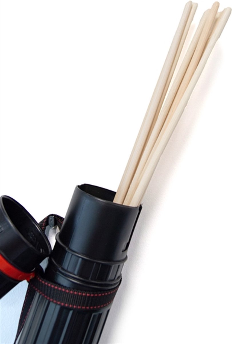 Mister B impact set of 10 canes in travel case