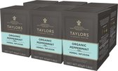 Taylors of Harrogate Pure Peppermint - 6 x 20 theezakjes