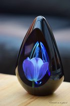 Urn voor crematie-as-Urn Premium Design Glas met afbeelding van een bloem/Tulp-Urn met afbeelding dmv.hoge kwaliteit foto sign folie-Urn voor Deelbestemming-Urn Glas-60ml inhoud-Premium collectie-Transparant ton sur ton blauwe askamer