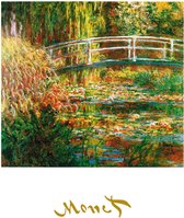 Kunstdruk Claude Monet - The Waterlily Pond 50x70cm
