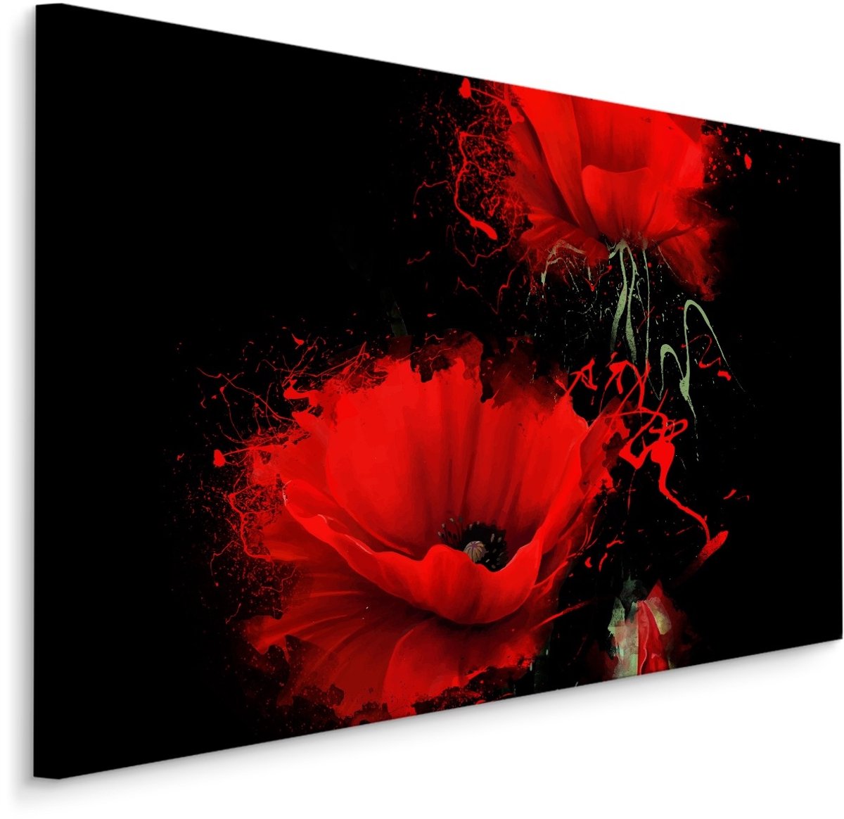 karo-art Schilderij - Rode klaprozen, zwarte achtergrond, premium print Multikleur