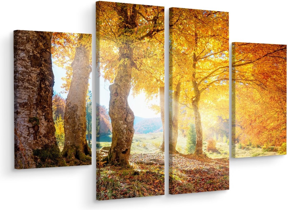 karo-art Schilderij - Zonnig herfst bos, print op canvas, 4 luik, premium print Multikleur