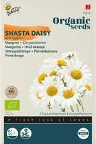 Buzzy Graines biologiques Shasta Daisy May Queen Margriet