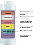 Multiple Fragrance Vitamin C -Aroma Shower Filter -Bathroom Shower Head -With Filter -Vitamin C- Mint Fragrance