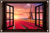 Tuinposter doorkijk bloemen - Donkerbruin raam - Tuindecoratie tulpen - 60x40 cm - Poster voor in de tuin - Buiten decoratie Holland - Schutting tuinschilderij roze - Tuindoek muurdecoratie windmolen - Wanddecoratie balkondoek