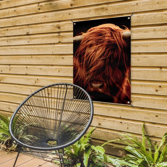 Tableau de jardin Scottish Highlander - Vache - Cornes - Portrait - Animaux - 60x80 cm - Affiche jardin - Toile jardin - Affiche extérieur