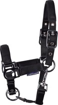 Harry's Horse - Veulenhalster - Padded - Zwart - Veulen