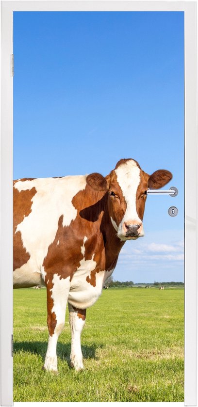 Sticker de porte Vaches - Ferme - Herbe - Nature - Animaux - 75x205 cm - Poster de porte