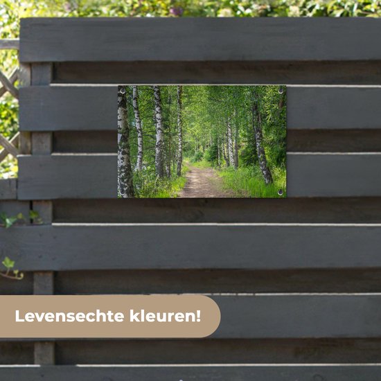 Tuindecoratie Bos - Bomen - Berk - 60x40 cm - Tuinposter - Tuindoek - Buitenposter