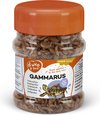 Duvoplus - Reptielenvoer - Reptielen - Gammarus 220ml - 1st