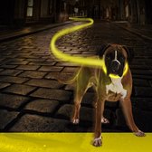 Duvoplus - Dierenkleding - Hond - Halsband Nylon Licht Usb 50-70cm/2,5cm Neon Geel - 1st
