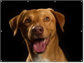 Muurdecoratie buiten Hond - Huisdieren - Portret - 160x120 cm - Tuindoek - Buitenposter