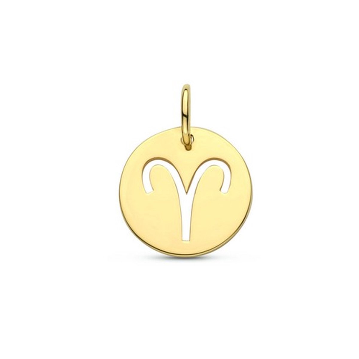 hanger sterrenbeeld 13 mm 14K geelgoud