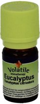 Volatile Eucalyptus Citriodora - 5 ml - Etherische Olie