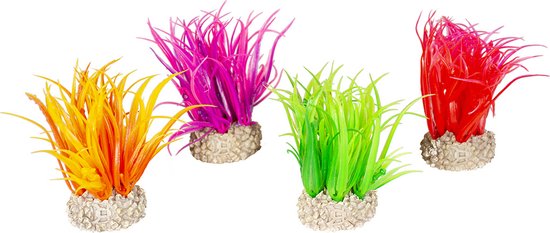 De Doorzichtige Kleurrijke Tropische Vissen Stock Afbeelding - Image of