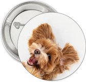 Button Happy Doodle - button - australian doodle - labradoodle - hond - dog - badge