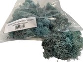Rendiermos, mos Aquamarijn 50 gram. Geschikt voor decoraties, mosschilderijen, moswanden, bloemstukjes
